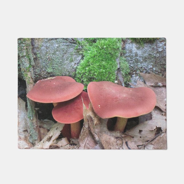 Paillasson Champignon Woodsy (Devant)