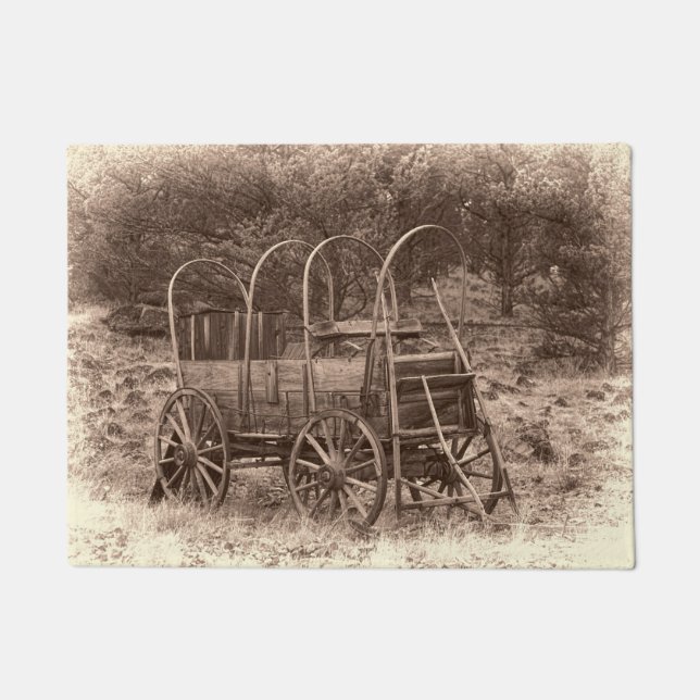 PAILLASSON CHARIOT COUVERT (Devant)