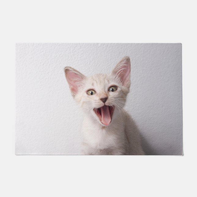 Paillasson Chat drôle (Devant)