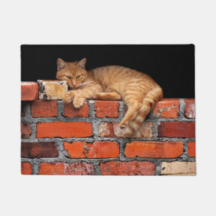 Paillasson Chat sur mur de brique