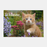 Chaton mignon de chat de bébé jouant l'accueil