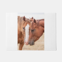 Chevaux qui se câlinent dans un pâturage