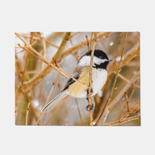 Paillasson Chickadee au plafond noir - Photo originale