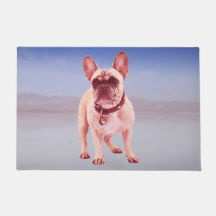 Paillasson Chien À La Française Assis Sur La Plage