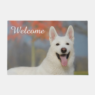 Paillasson Chien blanc suisse chèvre mignonne Photo _ Bienve