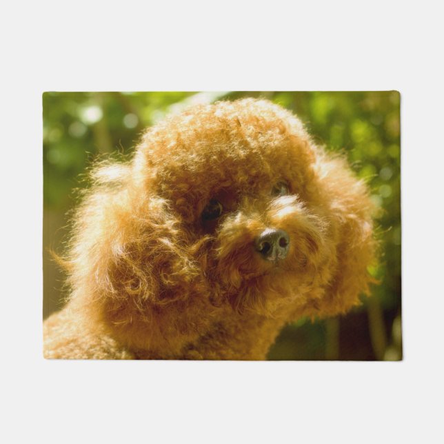 Paillasson Chien Caniche. (Devant)