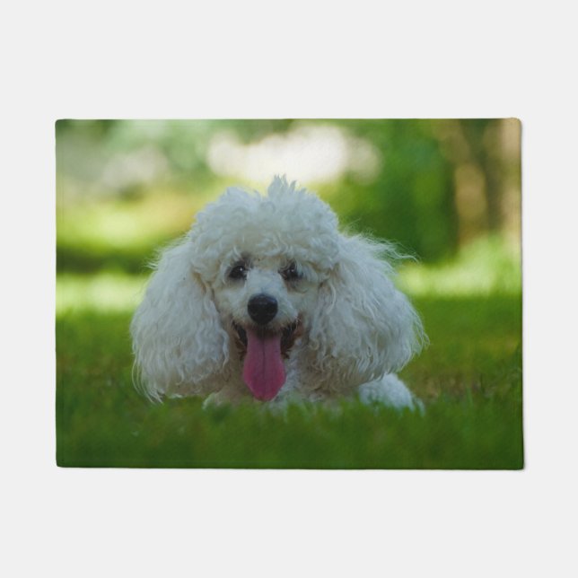 Paillasson Chien Caniche. (Devant)