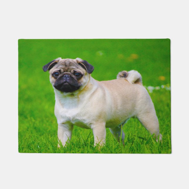 Paillasson Chien Carlin. (Devant)
