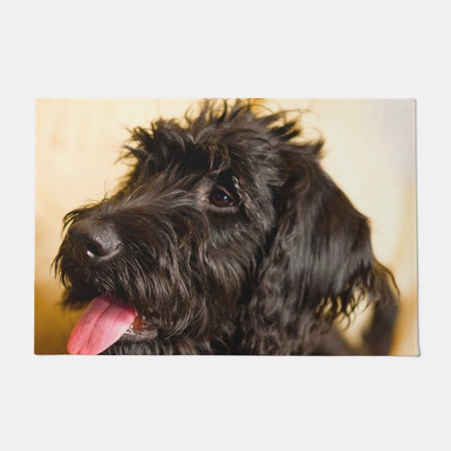 Paillasson Chien Labradoodle. (Devant)