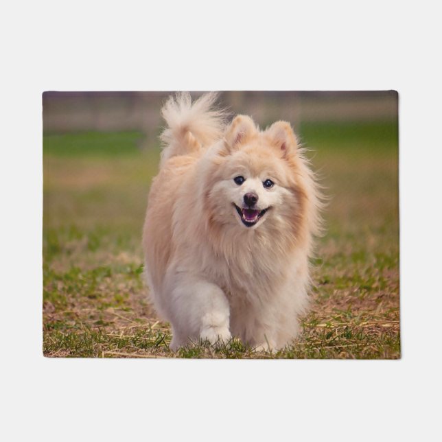 Paillasson Chien Poméranien. (Devant)
