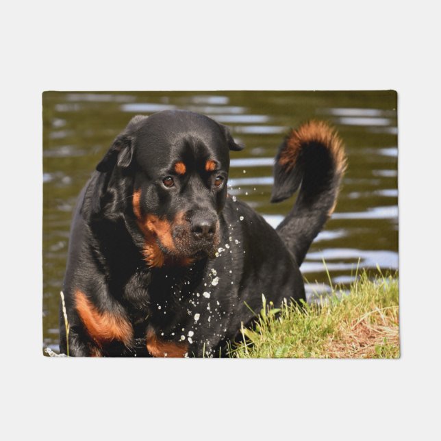 Paillasson Chien Rothweiler (Devant)