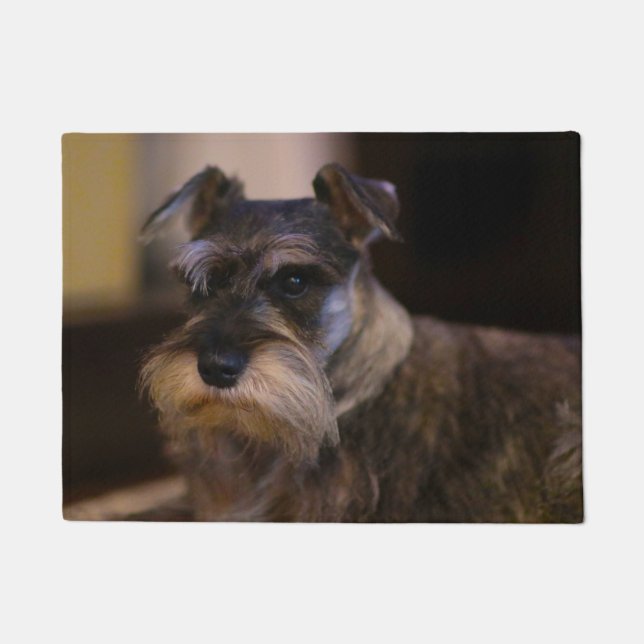 Paillasson Chien Schnauzer (Devant)