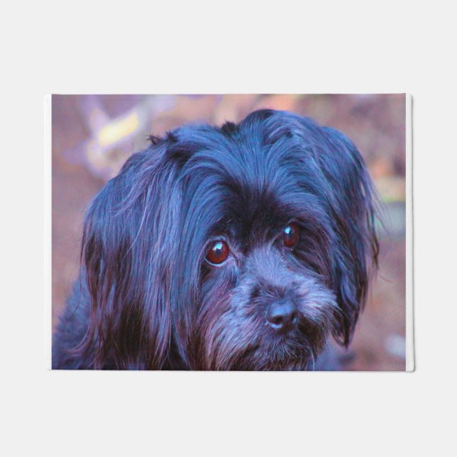 Paillasson Chien Shih Tzu. (Devant)