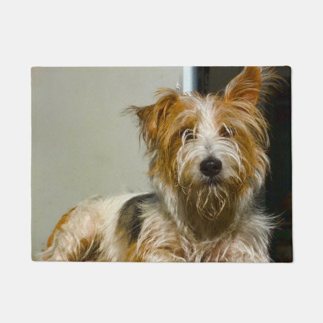 Paillasson Chien Westie. (Devant)