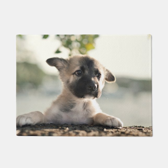 Paillasson Chiot allemand sur la corniche (Devant)