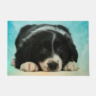 Paillasson Chiot de border collie