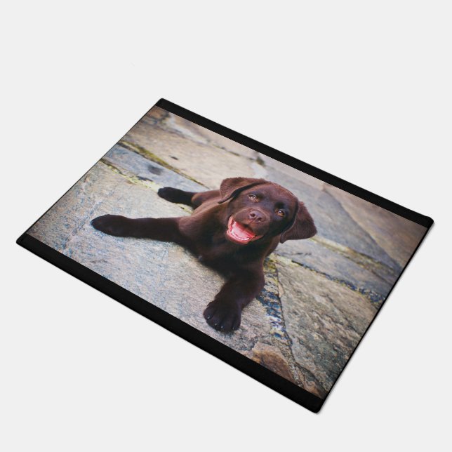 Paillasson Chiot de laboratoire de chocolat (Incliné)