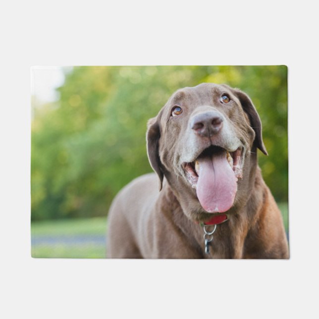 Paillasson Chocolate Labrador Dog (Devant)