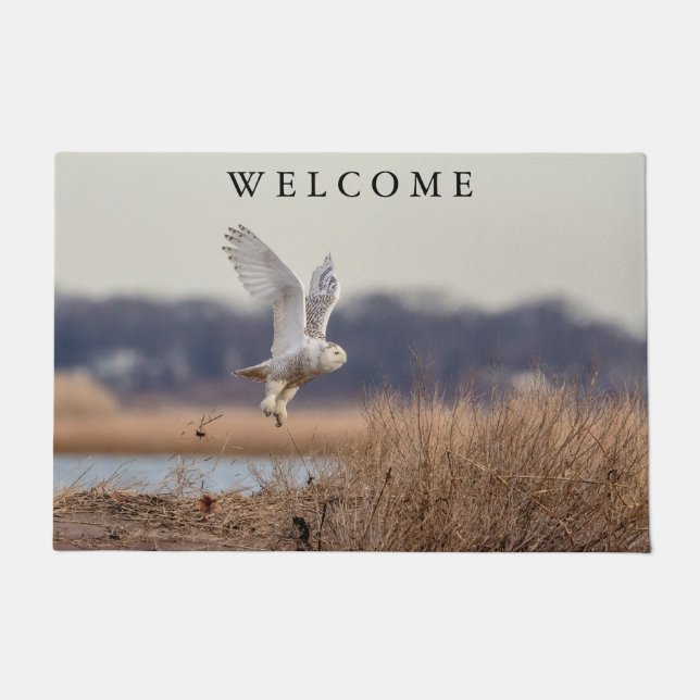 Paillasson Chouette neige décolle (Devant)