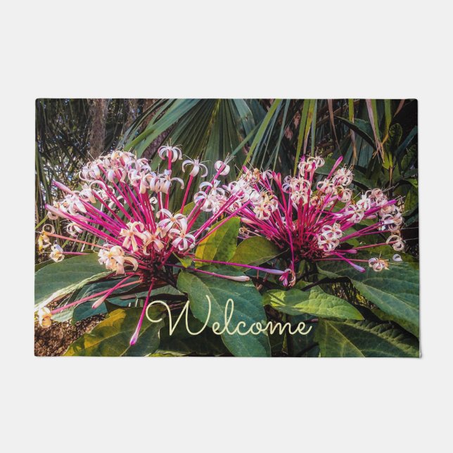 Paillasson Clerodendrum Starburst Fleurs Porte Mat (Devant)