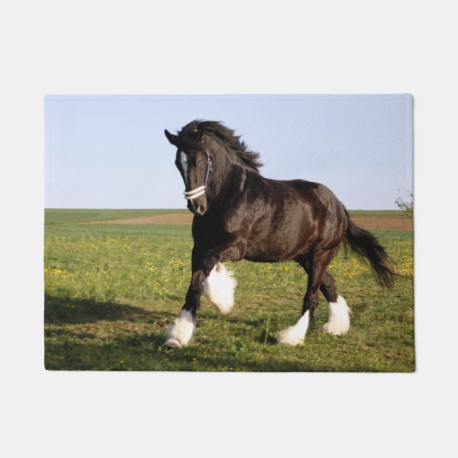 Paillasson Clydesdale Horse (Devant)