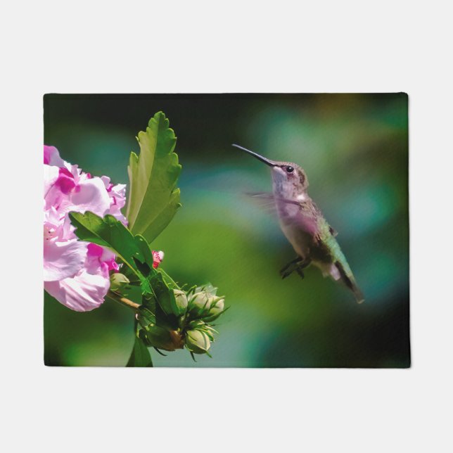 Paillasson Colibri à gorge rubis - Photo originale (Devant)
