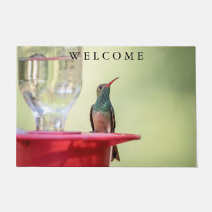 Paillasson Colibri à ventre cassé au Texas