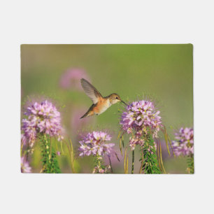 Paillasson Colibri et fleurs sauvages