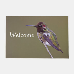 Paillasson Colibri reposant