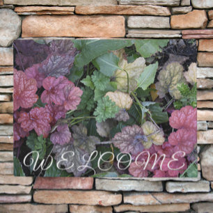 Paillasson Colorful Heuchera Plante Feuille Botanique