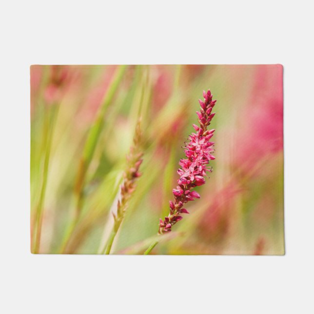 Paillasson coloris (Devant)