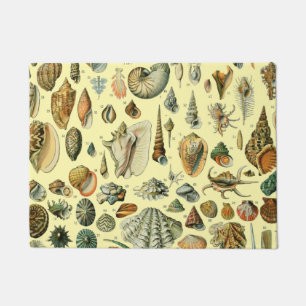 Paillasson Coquillages de coquillages Mollusk Clam Élégant Ar
