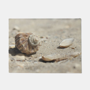 Paillasson Coquillages sur le sable par la mer