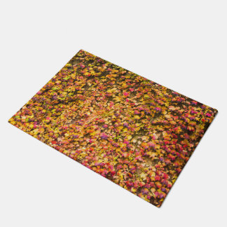 Paillasson Couleurs d'automne dorées sur un mur de lierre