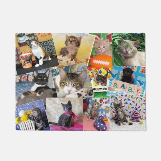 Paillasson Crazy Cat Lady Doormat (18 X 24) (Devant)