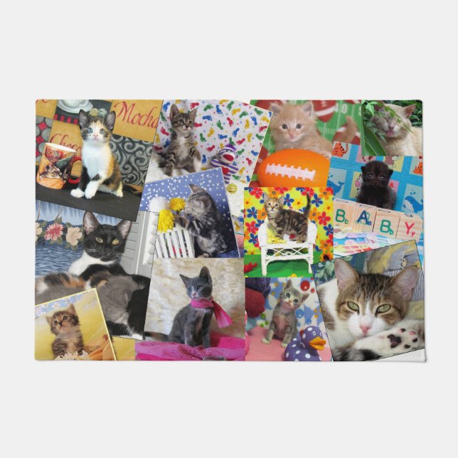 Paillasson Crazy Cat Lady Doormat (24 X 36) (Devant)