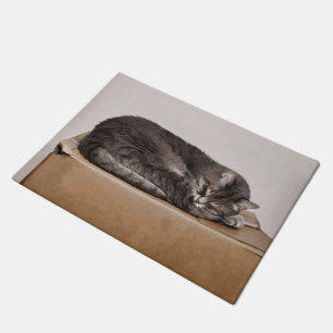 Paillasson Cuisine Tabby Chat Dormant Sur Une Boîte