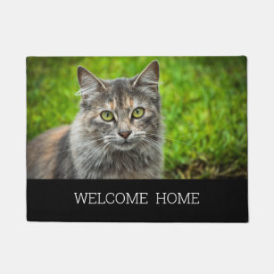 Paillassons Humour Chat En Zazzle Fr