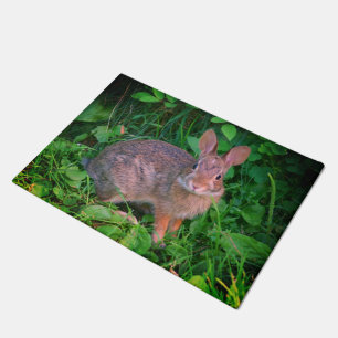 Paillasson Cute Wild Brown Rabbit Faune