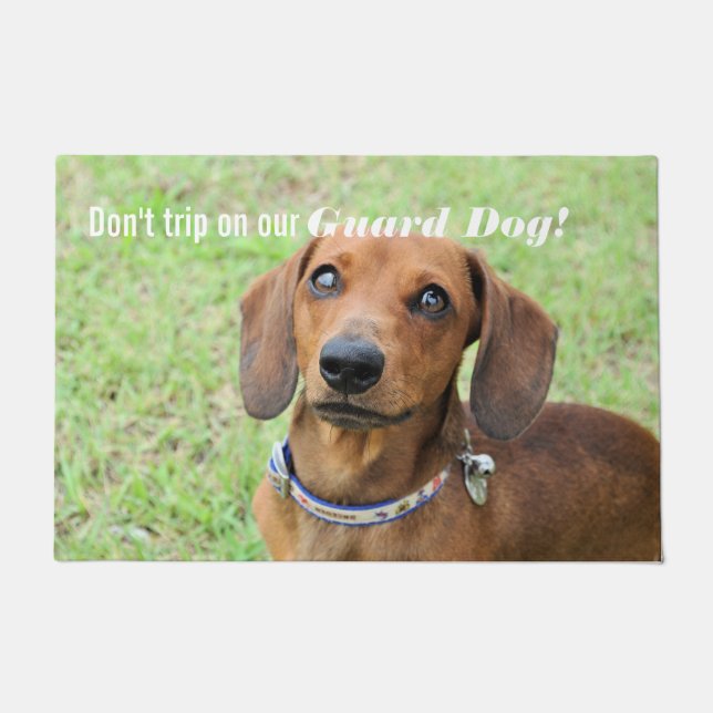 Paillasson Dachshund (Devant)