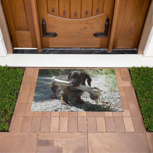 Paillasson Dachshund (De plein air)