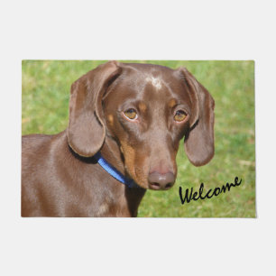 Paillasson Dachshund  doormat