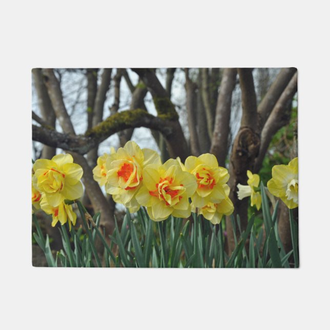 Paillasson Daffodiques de printemps (Devant)