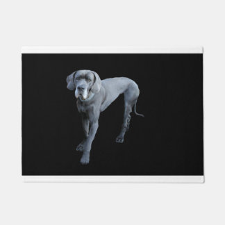 Paillasson Danois bleu