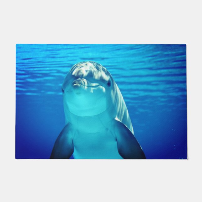 Paillasson Dauphin (Devant)