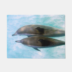 Paillasson Dauphins de fileur Oahu Hawaï