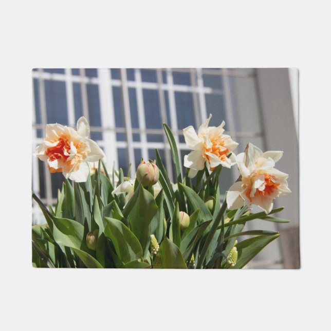 Paillasson Délicat mignon daffodils printemps (Devant)