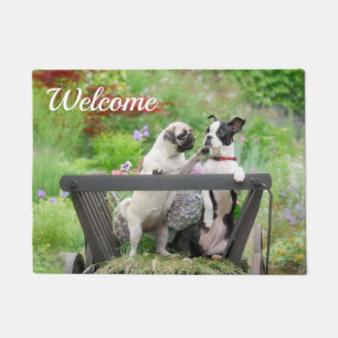 Paillasson Deux chiens par chiot carlin et Boston Terrier dan