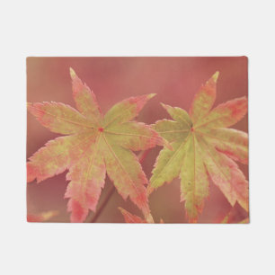 Paillasson Deux Feuilles d'érable japonais