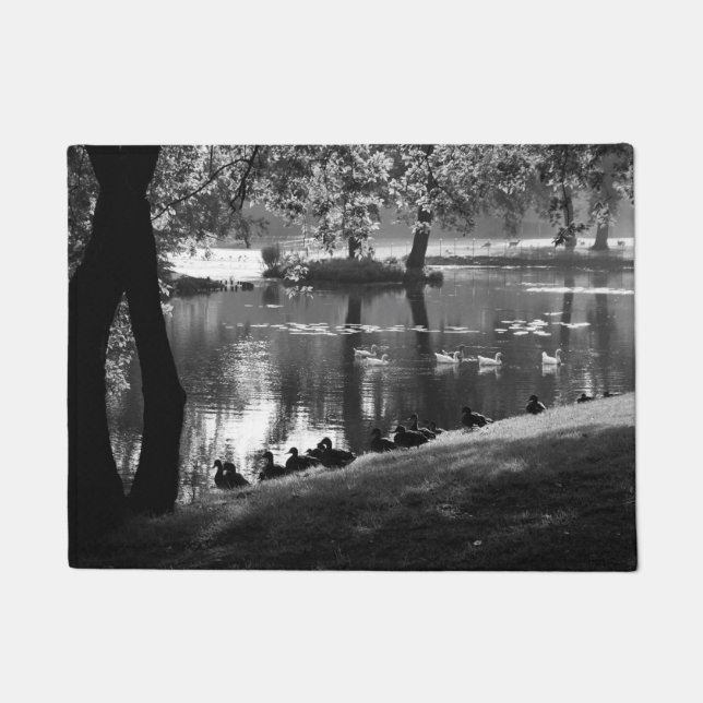 Paillasson Dmcna Park Life (Devant)
